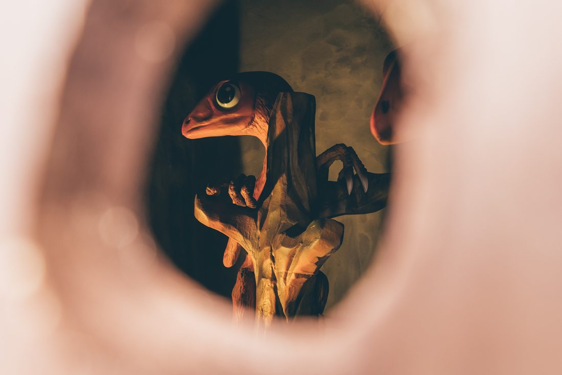 The small Anurognathus glimpsed through a peephole in the hut by hole two
