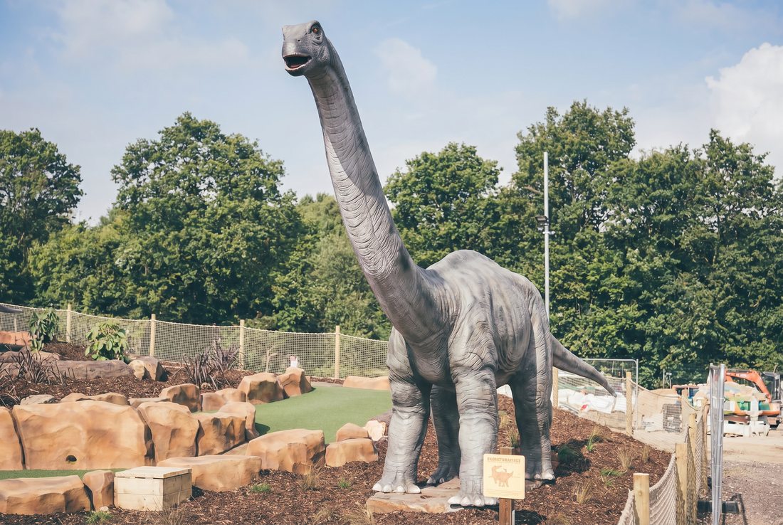 The grey, long-necked Brontosaurus standing tall on the course