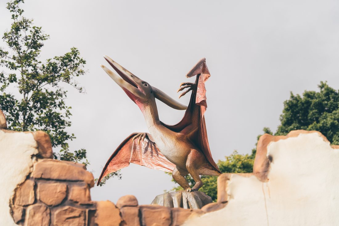 The Pteranodon model with wings spread, perched on a rock above a ruined Viking wall