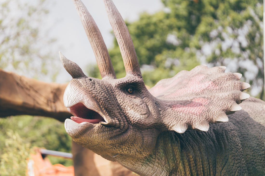 The Triceratops model beside its green hole-17 fact sign at Mighty Adventures Southampton