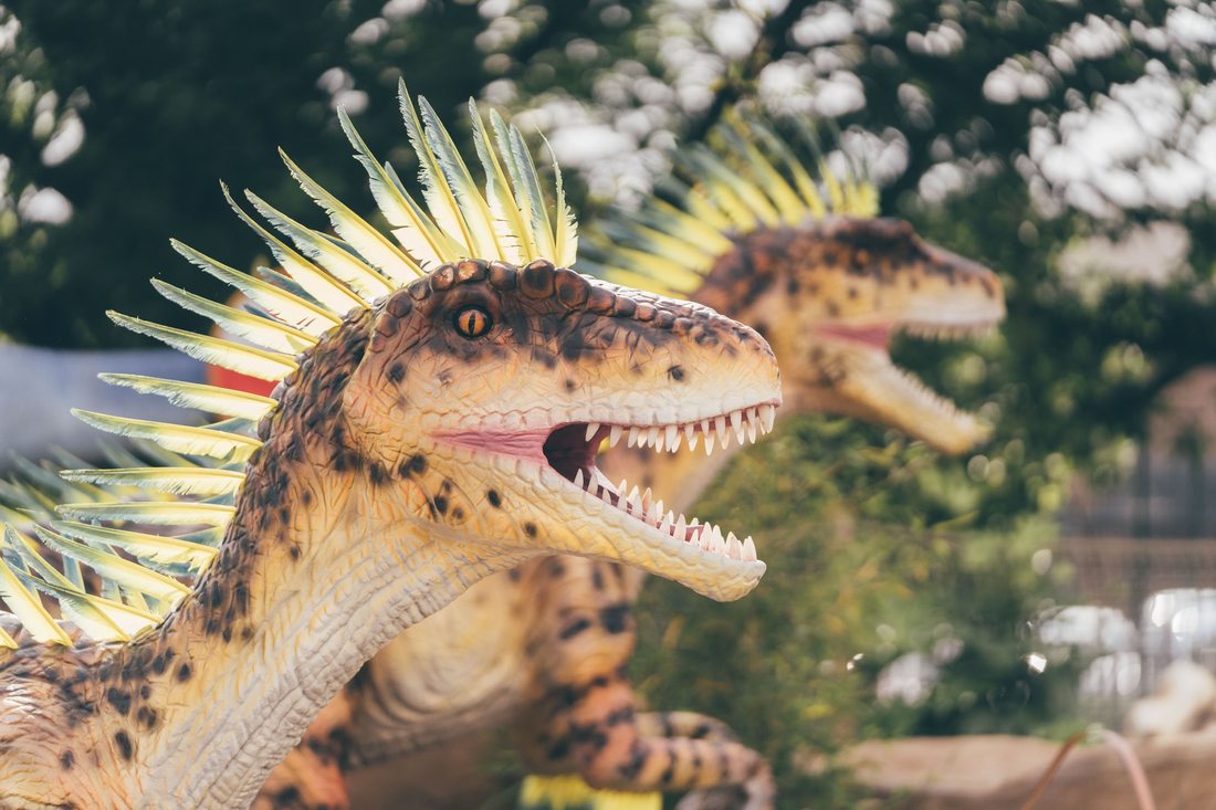 A feathered, crested Velociraptor model mid-roar on the course